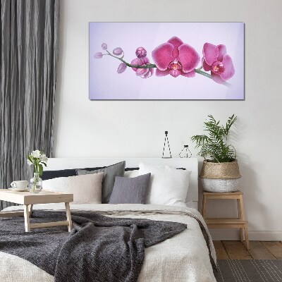 Skleneny obraz Orchidey v jemných odtieňoch ružovej