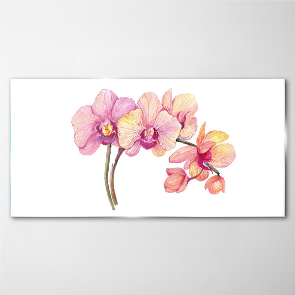 Skleneny obraz Kvetinová krása orchideí