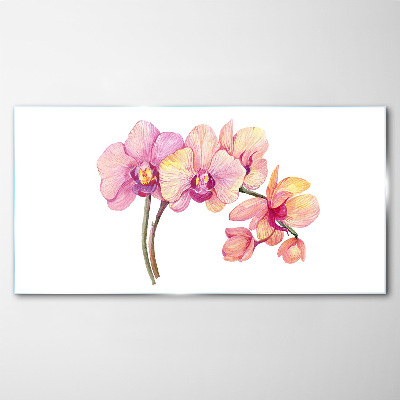 Skleneny obraz Kvetinová krása orchideí