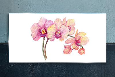 Skleneny obraz Kvetinová krása orchideí