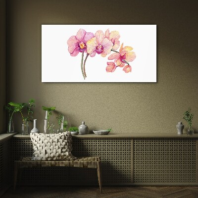 Skleneny obraz Kvetinová krása orchideí
