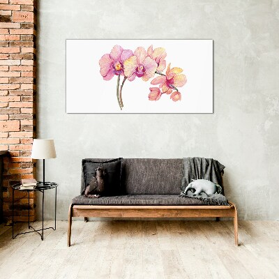 Skleneny obraz Kvetinová krása orchideí