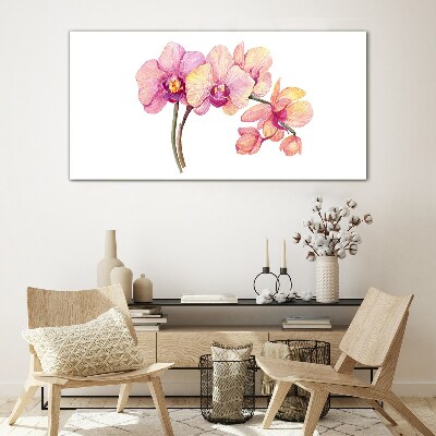Skleneny obraz Kvetinová krása orchideí