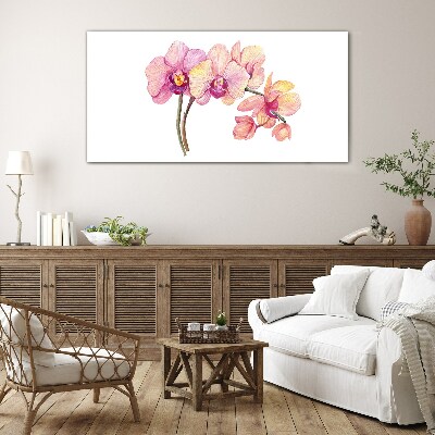 Skleneny obraz Kvetinová krása orchideí