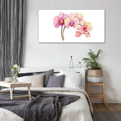 Skleneny obraz Kvetinová krása orchideí