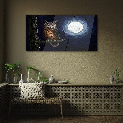 Skleneny obraz Strom vetva sova nočné mesiac