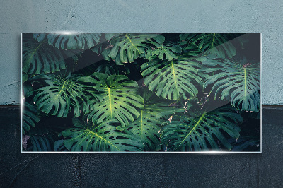 Skleneny obraz Tropická zelená v listoch Monstera