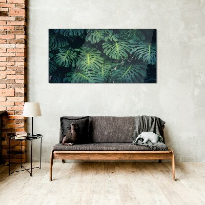 Skleneny obraz Tropická zelená v listoch Monstera