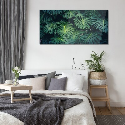 Skleneny obraz Tropická zelená v listoch Monstera