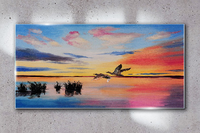 Skleneny obraz Západ slnka vtáčieho jazera