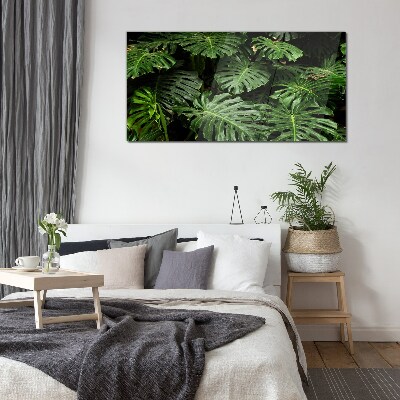 Skleneny obraz Tropické listy Monstera