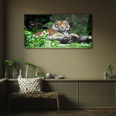 Skleneny obraz Tiger v zelenom lese