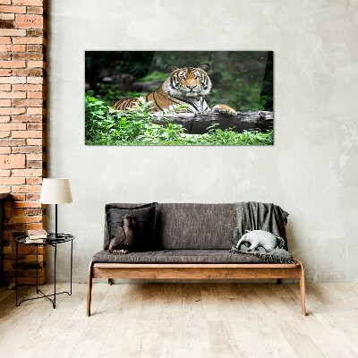 Skleneny obraz Tiger v zelenom lese