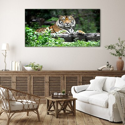Skleneny obraz Tiger v zelenom lese