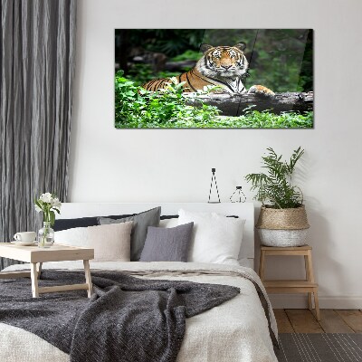 Skleneny obraz Tiger v zelenom lese