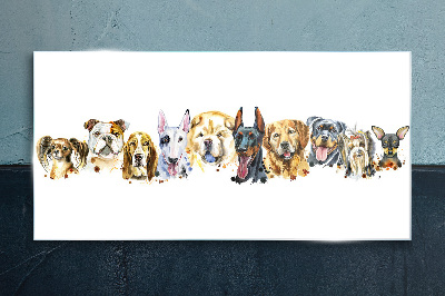 Obraz na skle Moderné zvieratá psi