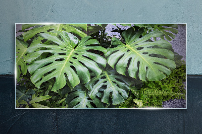 Obraz na skle Botanickej listy rastlín