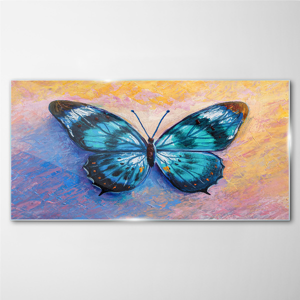 Obraz na skle Motýľ hmyz farebný
