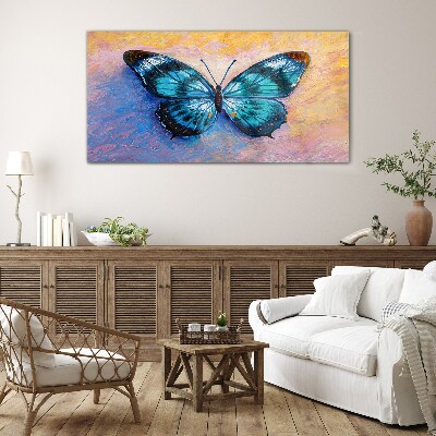 Obraz na skle Motýľ hmyz farebný