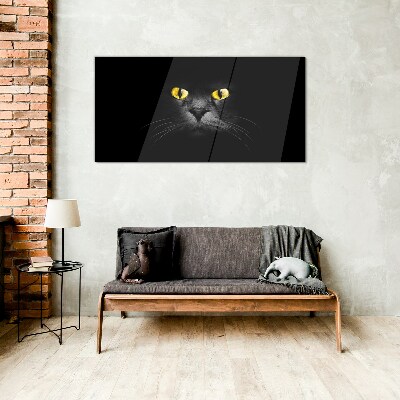 Obraz na skle Zvieratá mačky oči