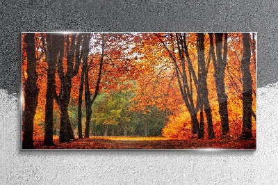 Obraz na skle Jesenná stromová alej