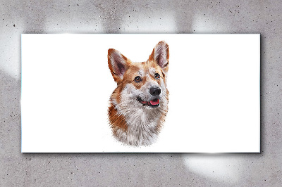 Skleneny obraz Portrét veselého psa Corgi