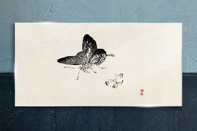 Sklenený obraz Moderné hmyz motýľ