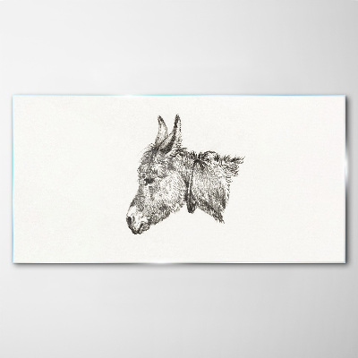 Obraz na skle Portrét osla v monochromatickom štýle