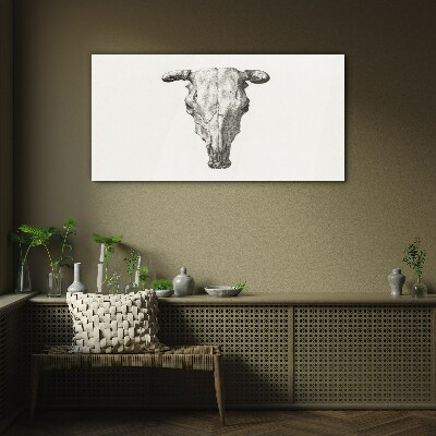 Obraz na skle Kreslenie zvieracie kravy lebka