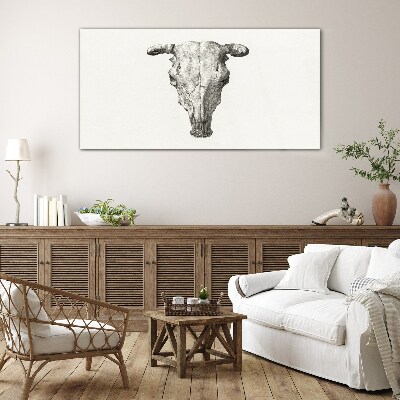 Obraz na skle Kreslenie zvieracie kravy lebka