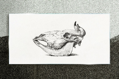 Obraz na skle Kreslenie kravské lebky