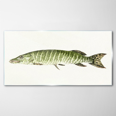 Obraz na skle Muskie vo svojom prirodzenom prostredí