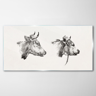 Obraz na skle Kresba kravy zvierat