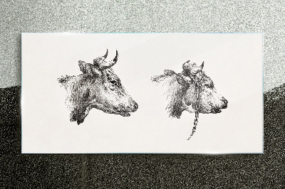 Obraz na skle Kresba kravy zvierat