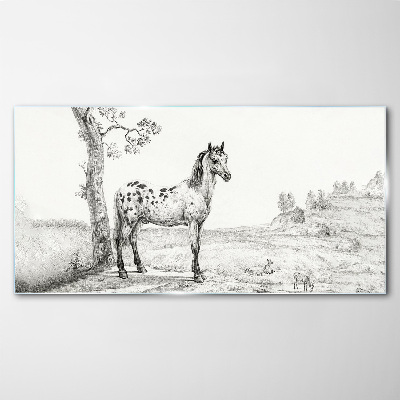 Obraz na skle Kresba koní zvieratá