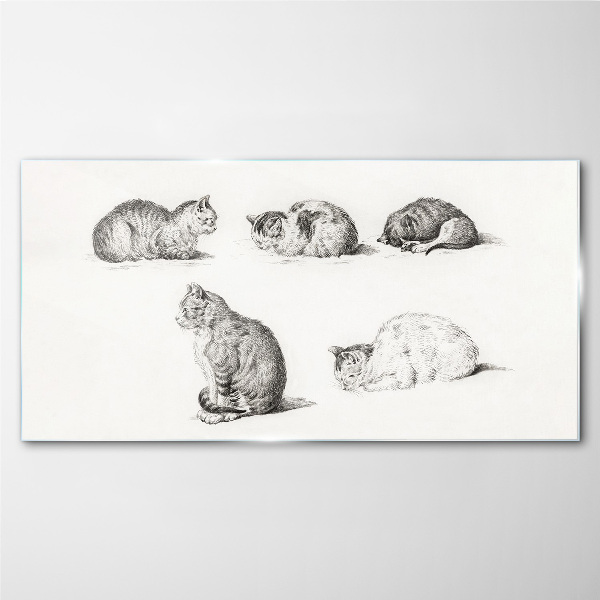 Obraz na skle Kreslenie zvierat mačiek