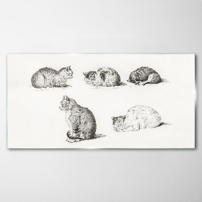 Obraz na skle Kreslenie zvierat mačiek