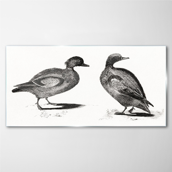 Obraz na skle Dve kačice v monochromatickom štýle