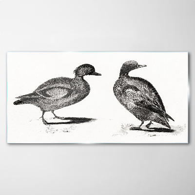 Obraz na skle Dve kačice v monochromatickom štýle