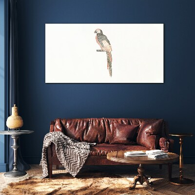 Obraz na skle Kreslenie zvieracie vták papagáj