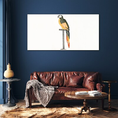 Obraz na skle Kreslenie zvieracie vták papagáj
