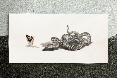 Obraz na skle Kreslenie zvieracie had motýľ