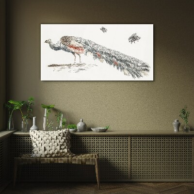 Obraz na skle Zvieracie vták páv muchy