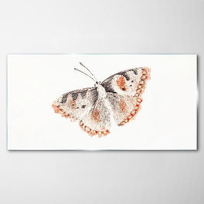 Obraz na skle Chyba hmyz motýľa