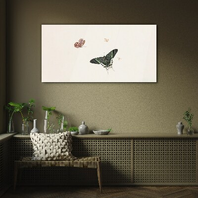 Obraz na skle Moderné bug hmyz motýľ