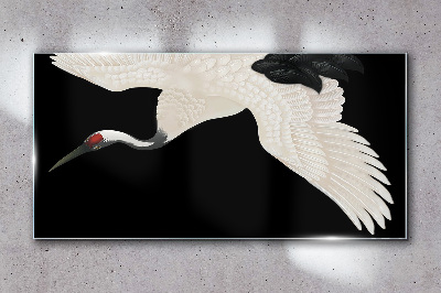 Skleneny obraz Elegancia bielej siluety žeriavu