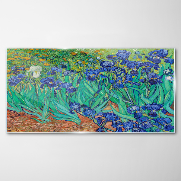 Obraz na skle Iris in Bloom
