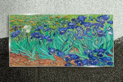 Obraz na skle Iris in Bloom