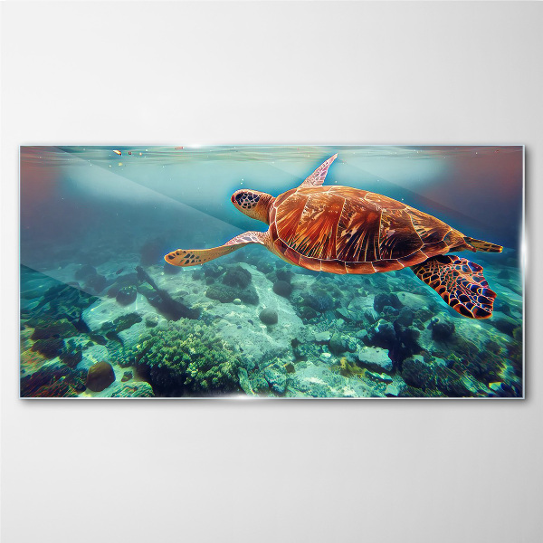 Skleneny obraz Morská zvieratá korytnačka vody