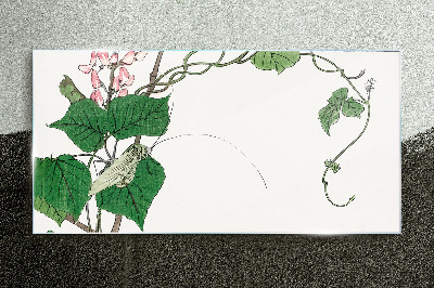 Obraz na skle Listy kvetov hmyzu
